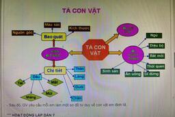<a href=page/404.html title="Hoạt động chuyên môn" rel="dofollow">Hoạt động chuyên môn</a>